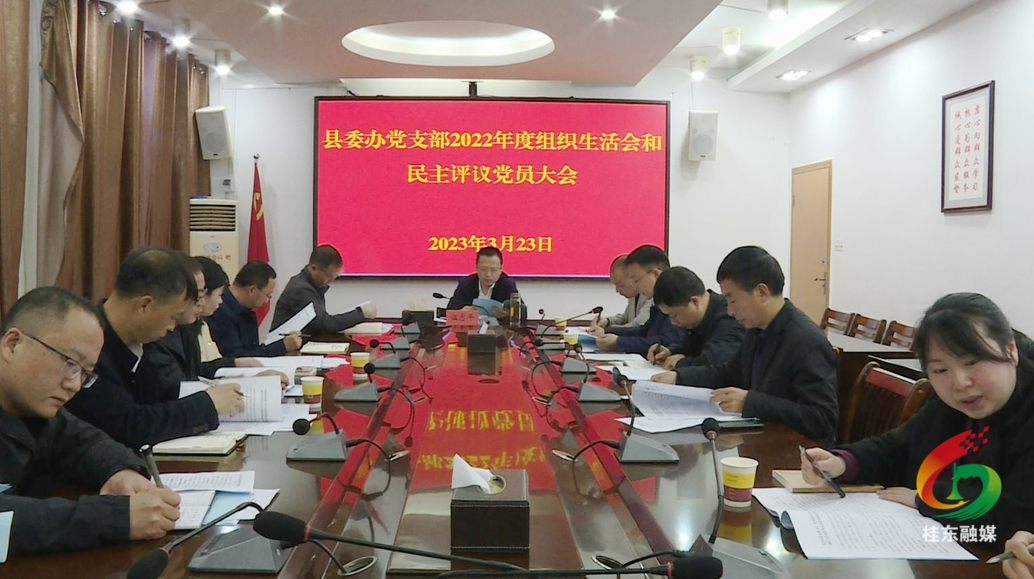 伍志平参加县委办党支部组织生活会