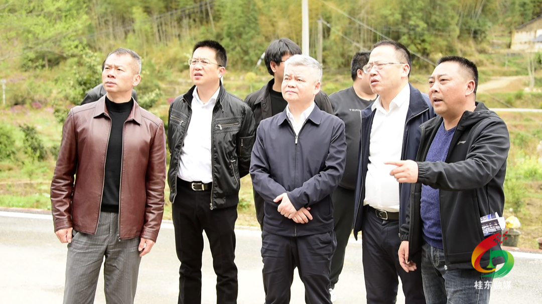 陈跃文调研我县旅发大会项目建设工作