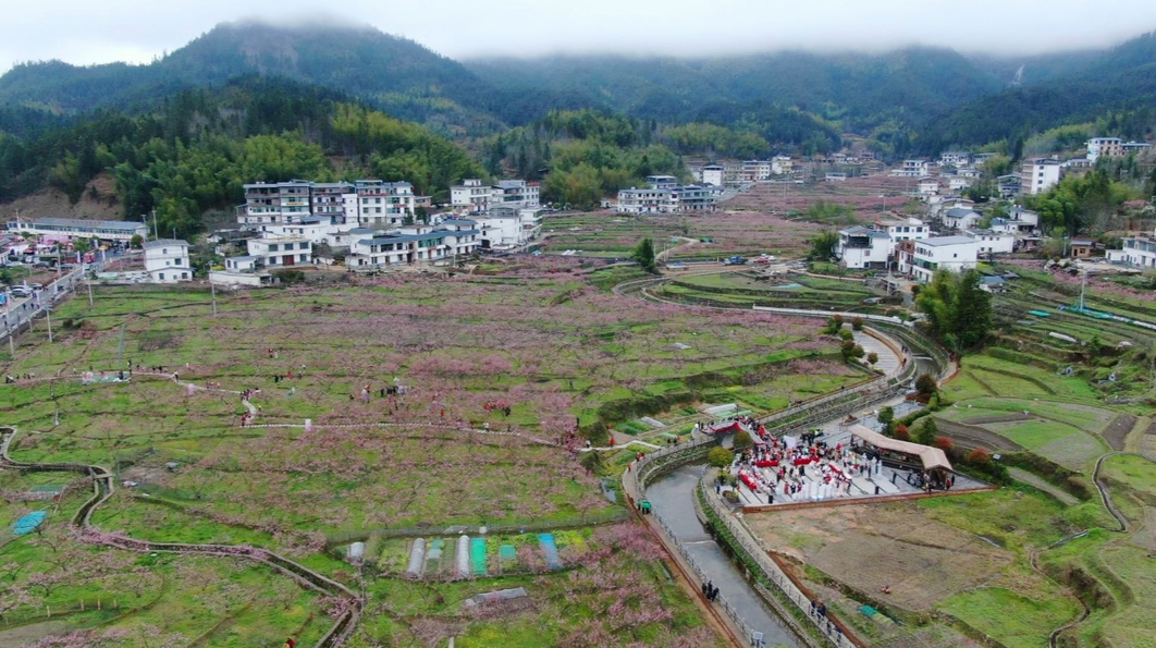 旅发进行时|“春风十里•桃醉桂东”2023高山桃花节开幕