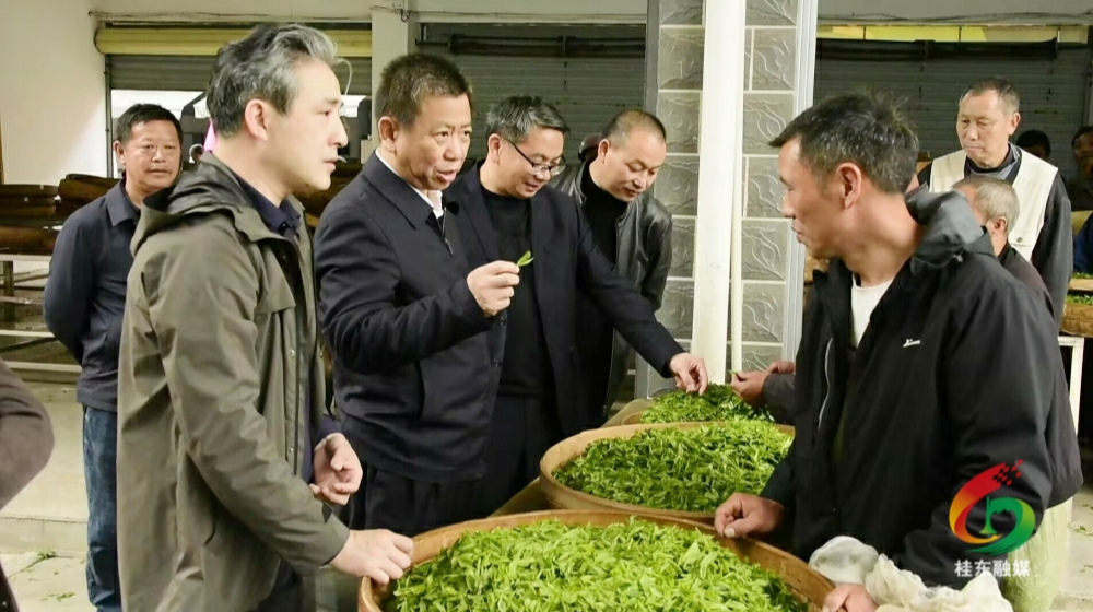 彭生智到我县调研项目建设和产业发展等工作