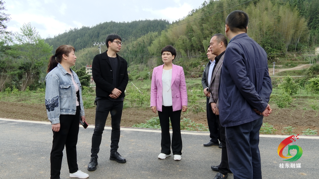 大兴调查研究|刘真调研重点项目建设工作