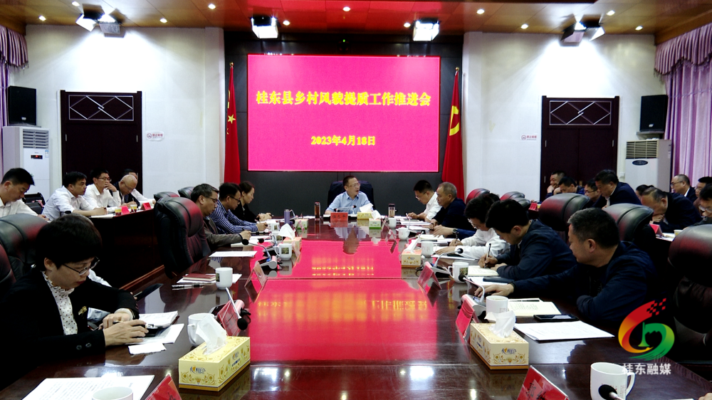 旅发进行时·城乡风貌大提质|伍志平主持召开全县乡村风貌提质工作推进会