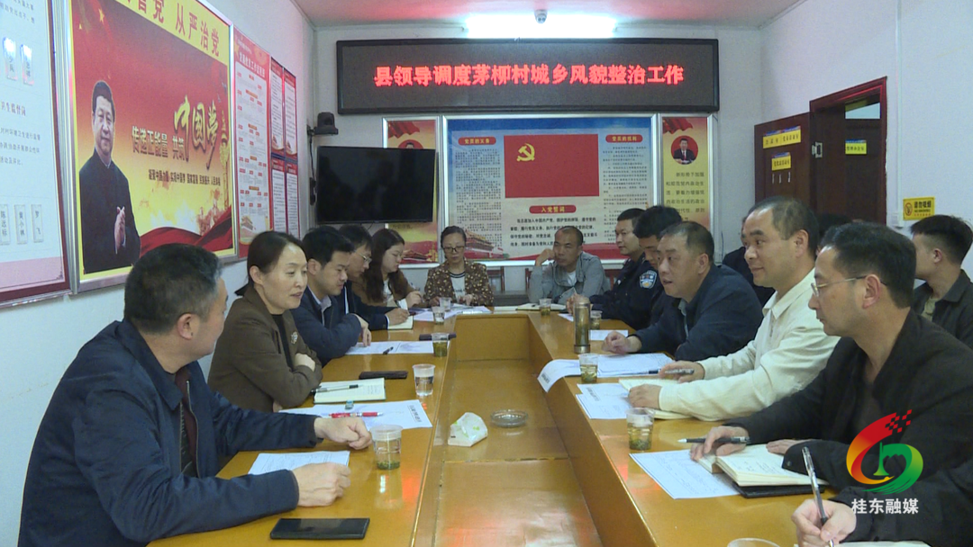 县领导调度茅柳村城乡风貌整治工作