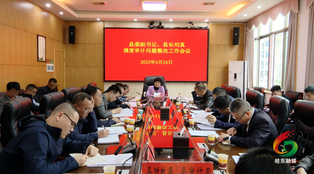 刘真专题调度相关问题整改工作