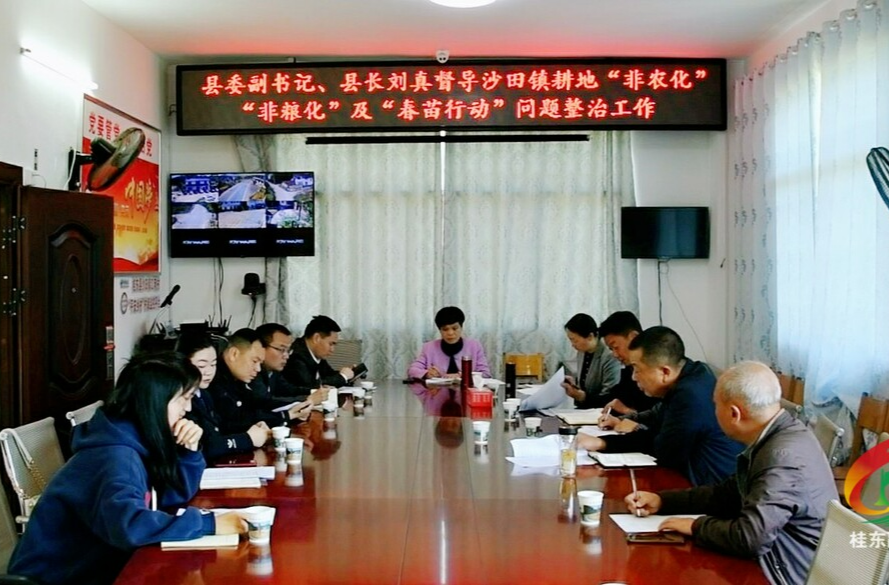打好“发展六仗” |刘真督导沙田镇​耕地“非农化”“非粮化”整治、“春苗行动”情况和城乡风貌整治工作