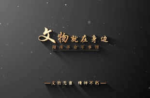 湖南革命军事馆关于持续开展文物史料征集活动的公告