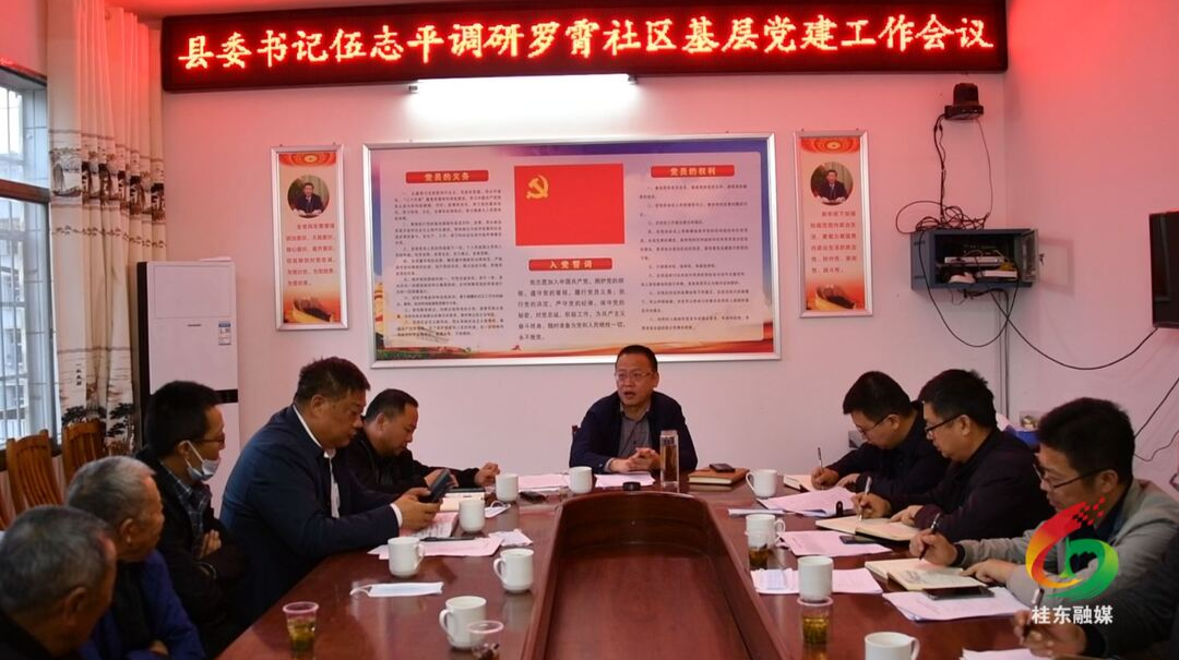 伍志平调研罗霄社区基层党建工作