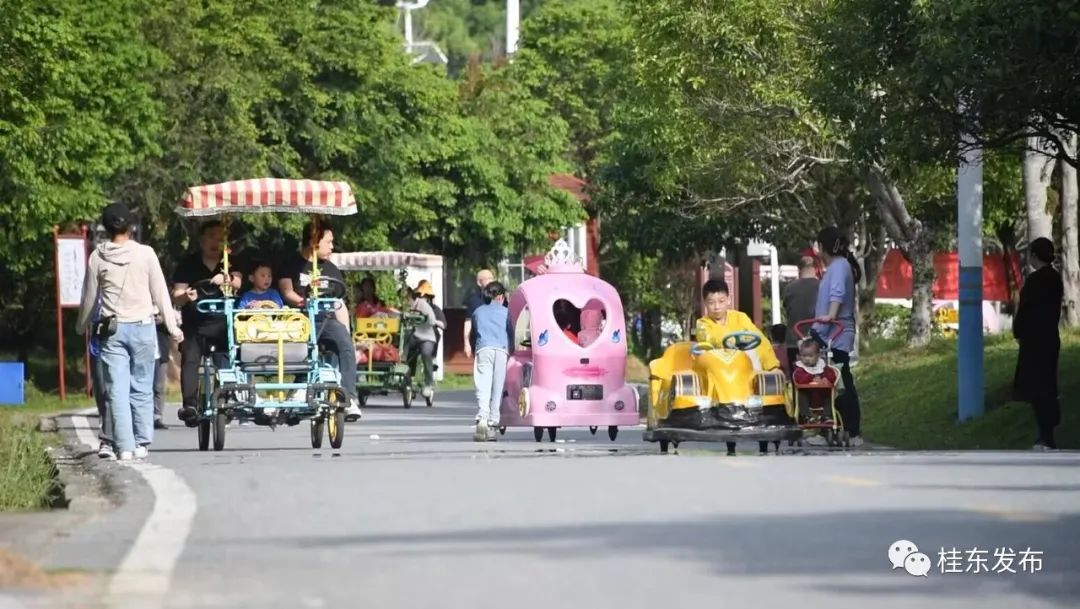 我县“五一”假期旅游市场持续火爆