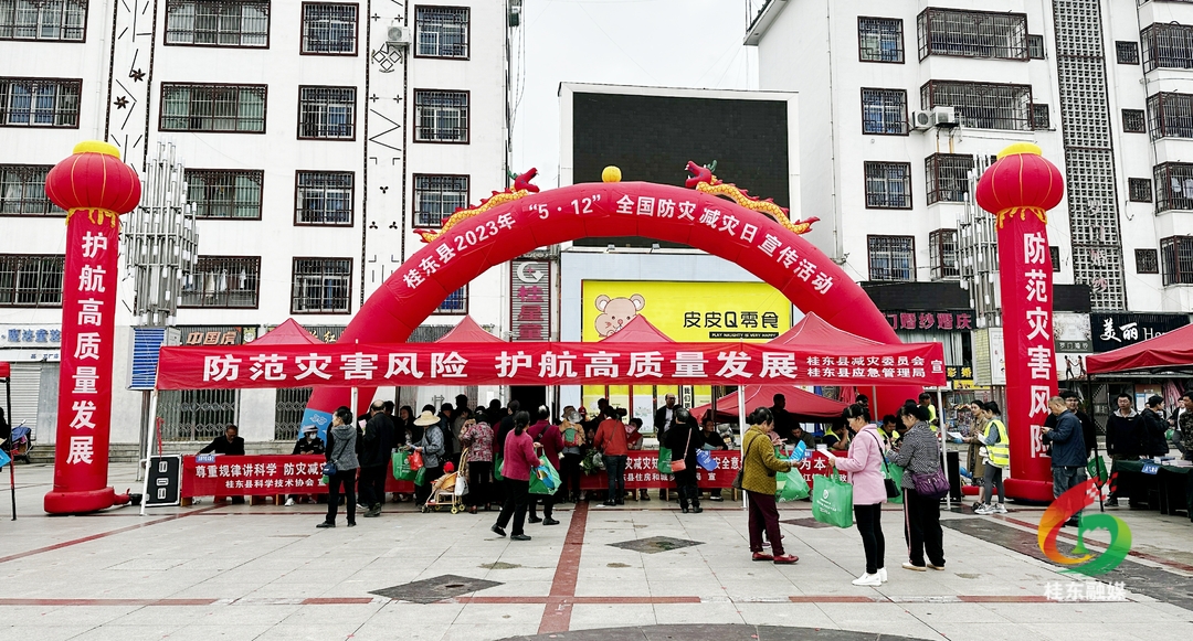 安全桂东·安全一线|我县举行2023年全国防灾减灾日宣传活动