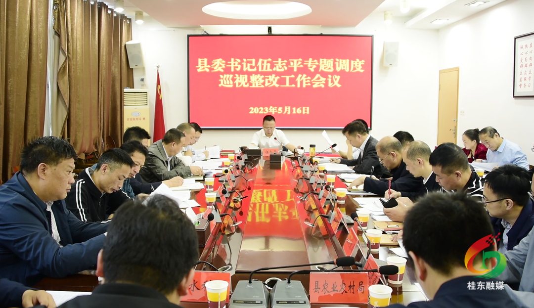 伍志平专题调度巡视整改工作