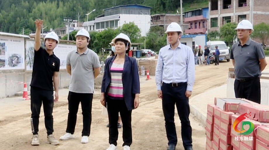 刘真调研重点项目建设工作