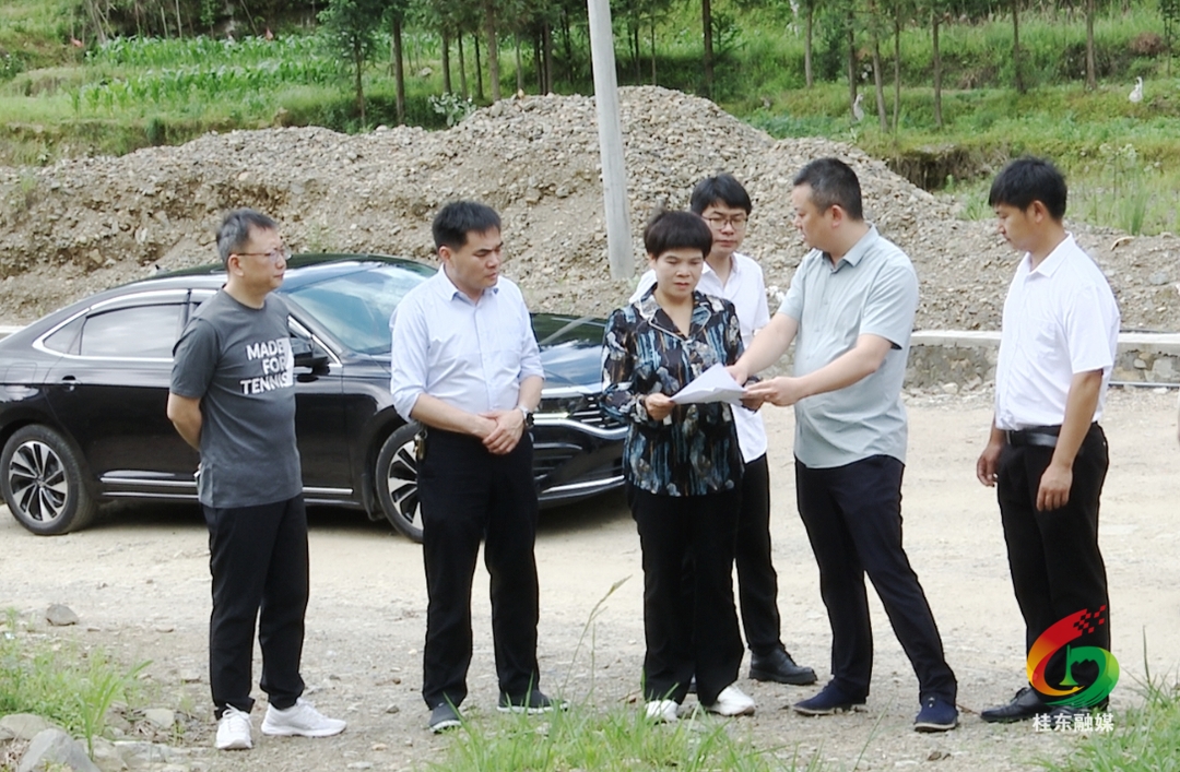 周末，刘真调研检查了这些工作