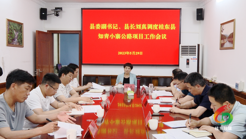 刘真调度东洛乡知青小寨公路项目工作