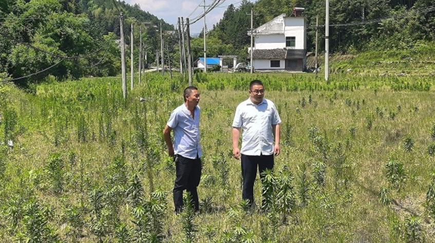 新坊乡：惠民之水润心田