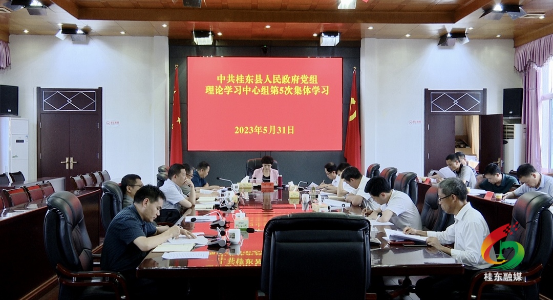 县政府党组理论学习中心组开展2023年第5次（扩大）集体学习