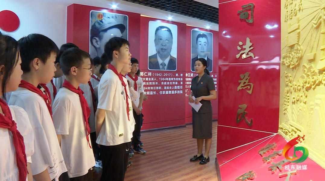 县人民法院开展“法治护航 伴你成长”暨“六一”专题法院开放日活动