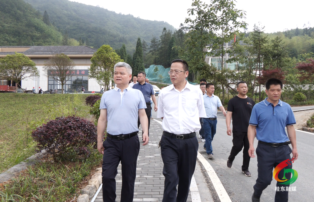 陈跃文一行到我县调研