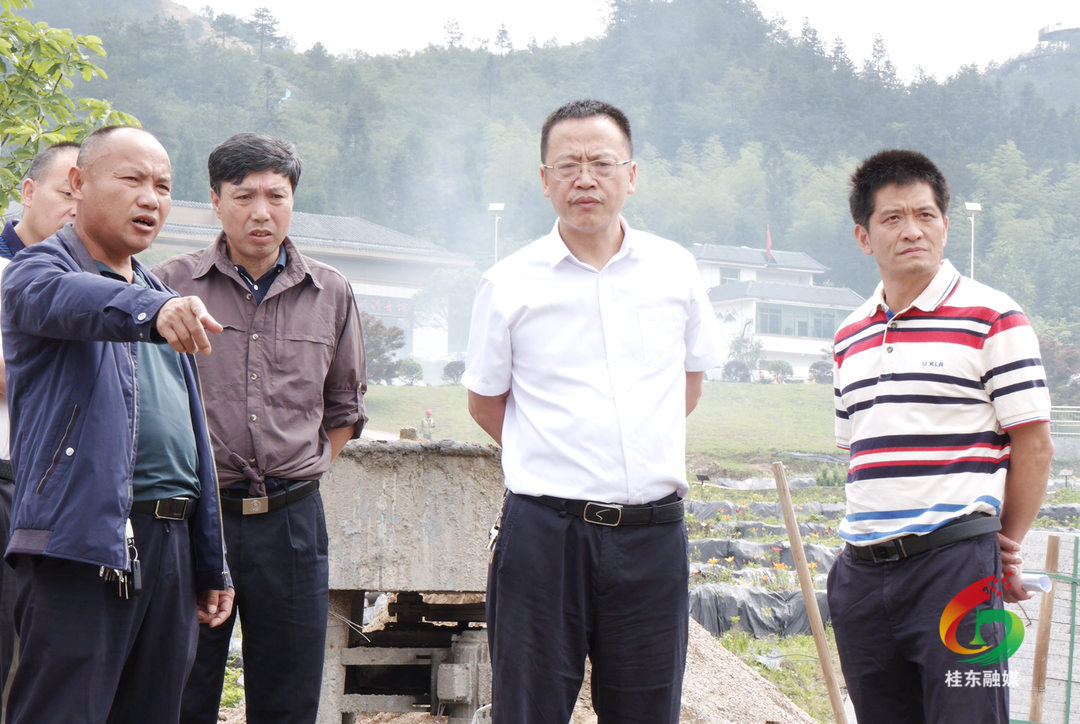 伍志平调度“两个基地”项目建设工作