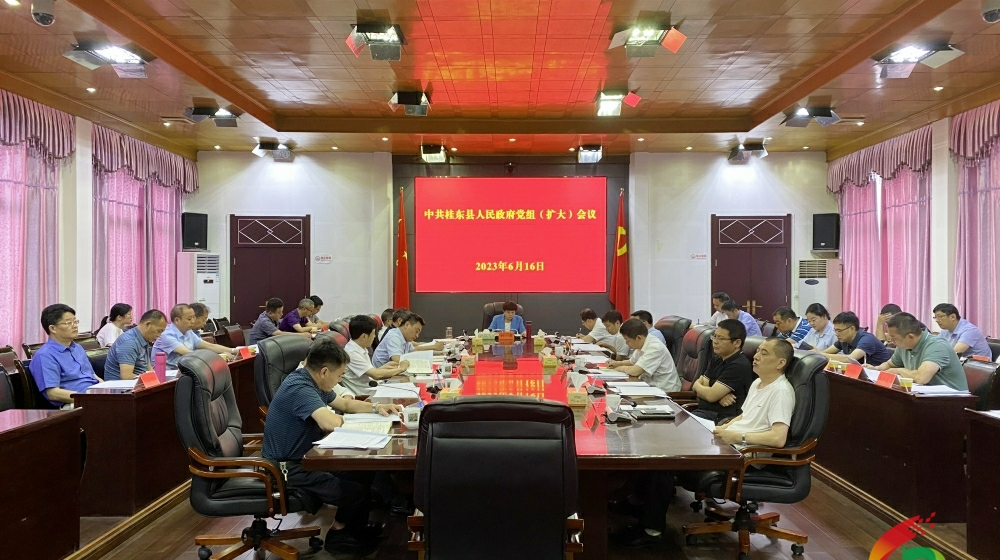 刘真主持召开县政府党组（扩大）会议