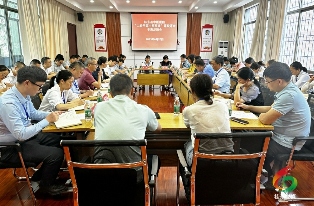 市卫健委对我县中医医院进行二级甲等中医医院评审