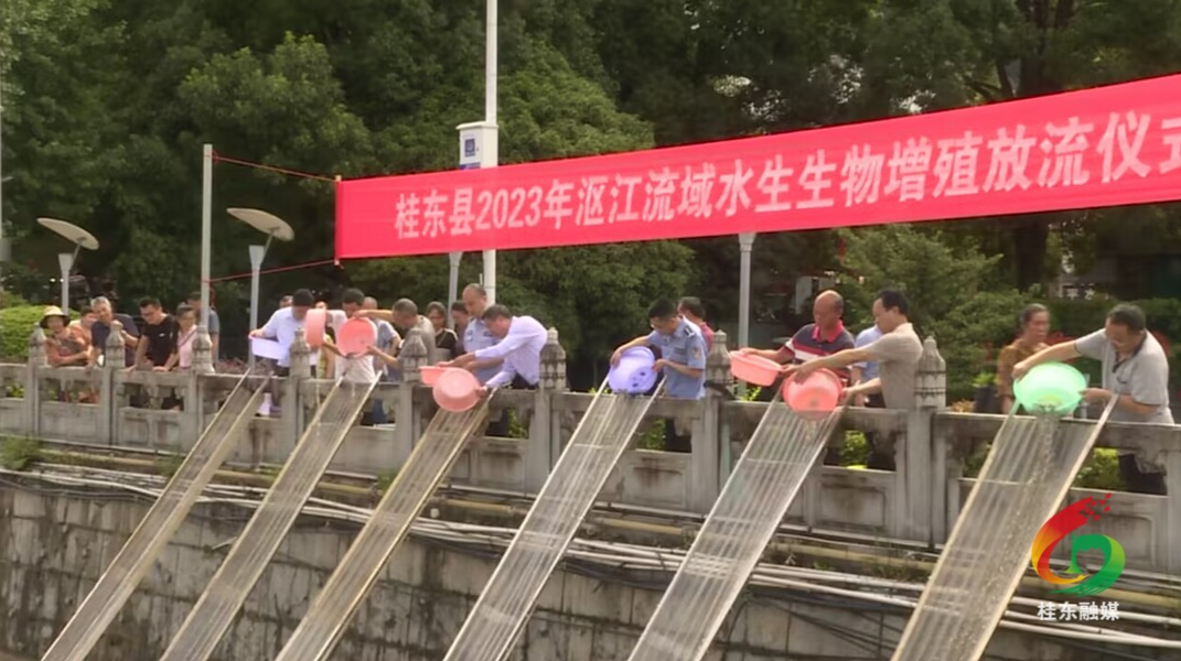 我县增殖放流鱼苗200万尾