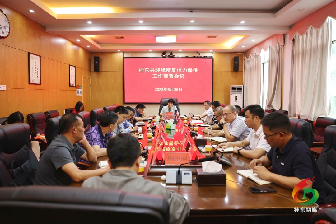 刘真调度迎峰度夏电力保供工作