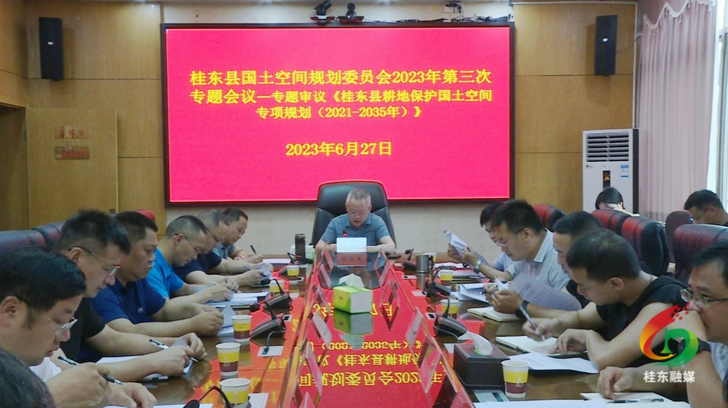 县国土空间规划委员会专题审议《桂东县耕地保护国土空间专项规划(2021-2035年)》