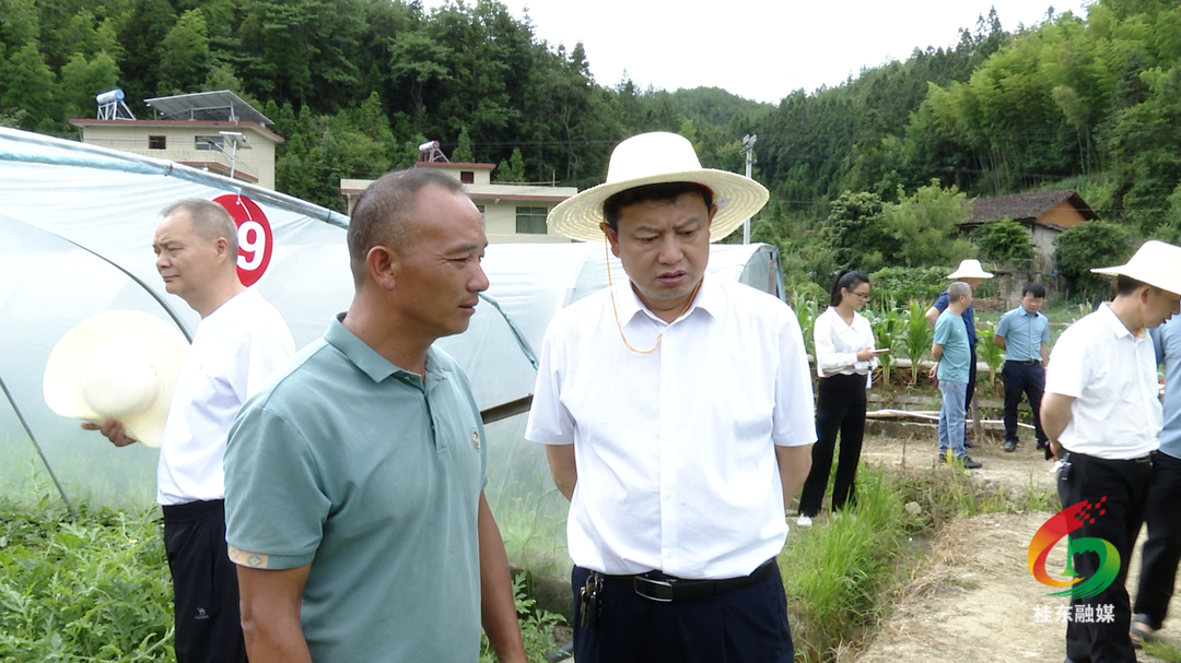 我县开展2023年“农产品质量安全行”活动