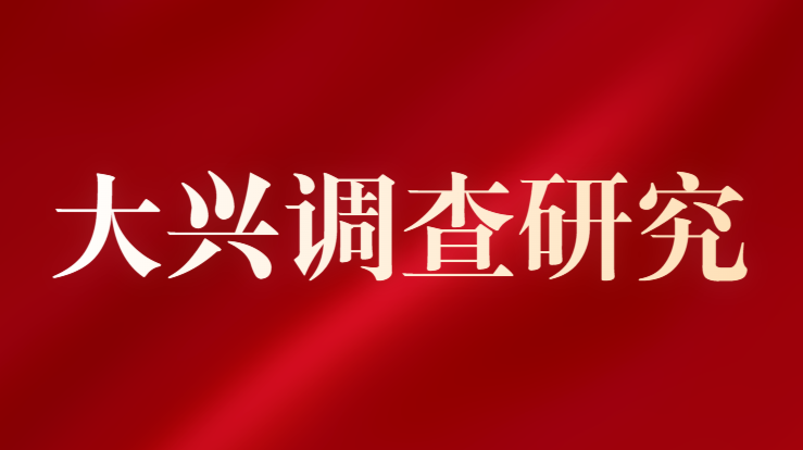 大兴调查研究