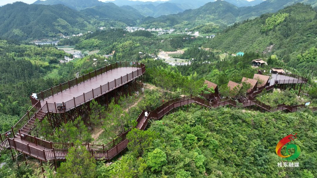 青竹“两个基地”项目即将完工  游客抢先打卡体验