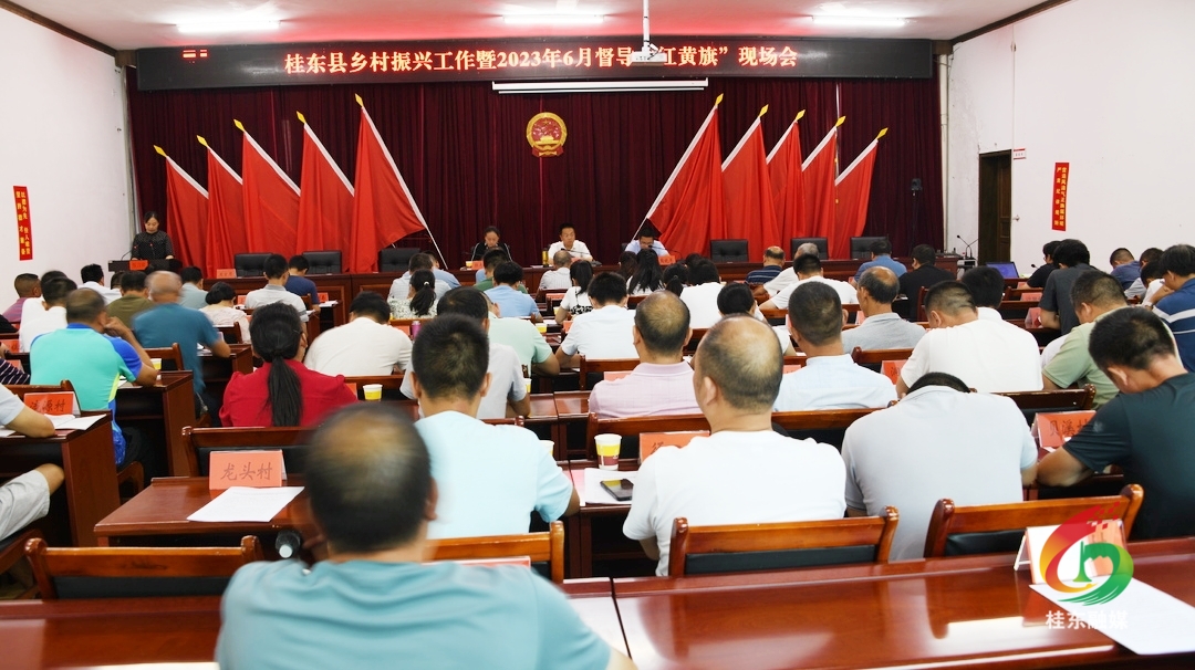 我县召开乡村振兴工作6月督导“红黄旗”现场会