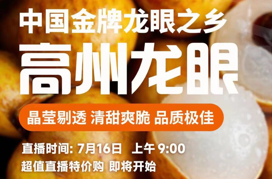 全国百家媒体走进中国金牌龙眼之乡——高州