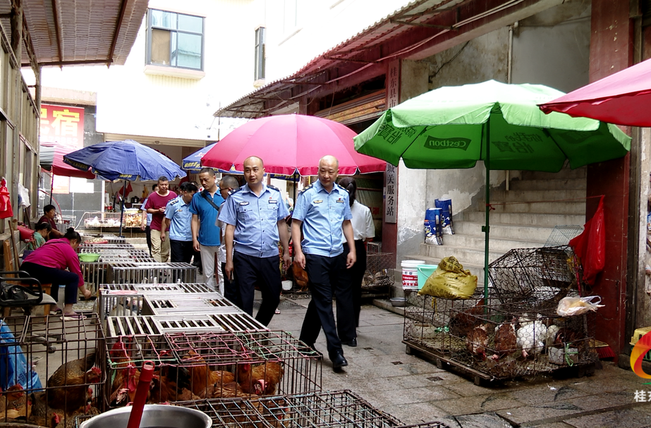 我县多部门联合开展野生动物及其制品整治行动