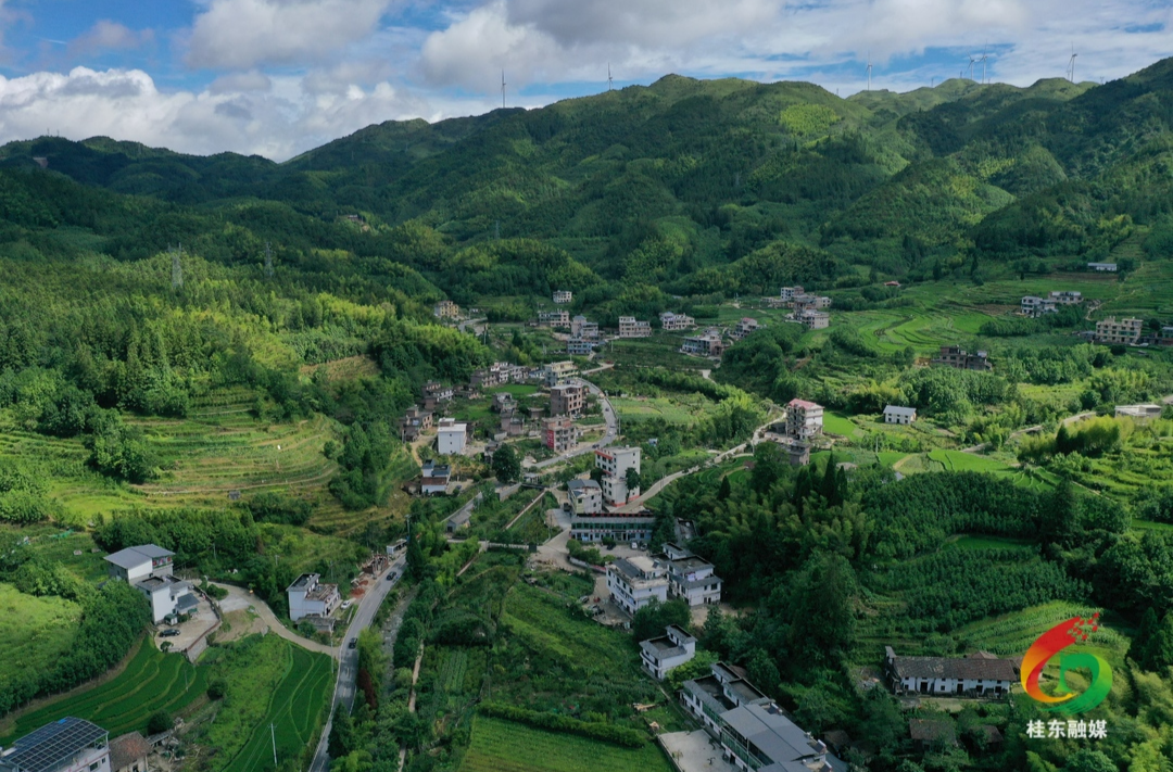 桂东：依托“绿”基因 “凉”资源“氧”天赋 旅游产业迎来“井喷式”发展