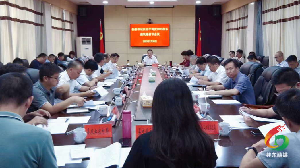 伍志平专题调度2023年康氧避暑节工作