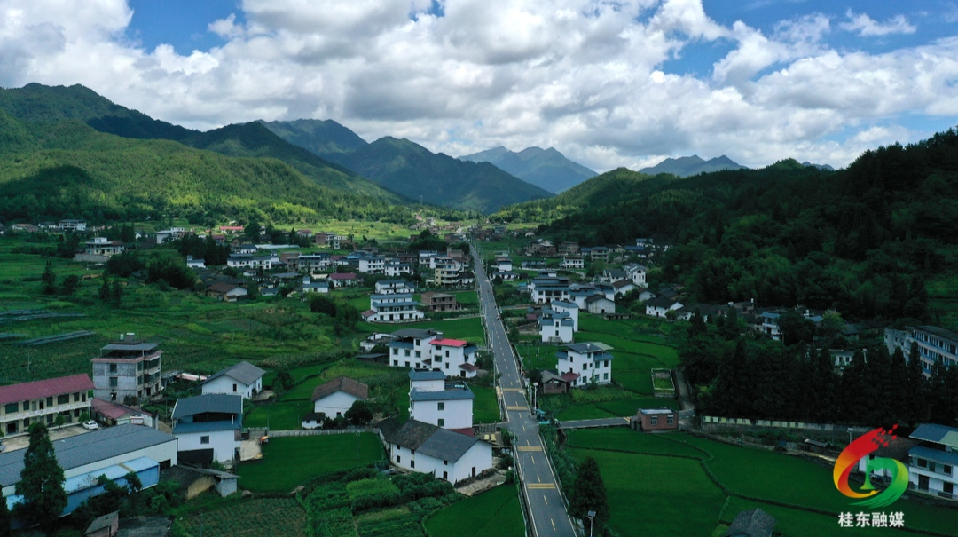 贝溪村：发展产业助民增收 倾情帮扶开花结果