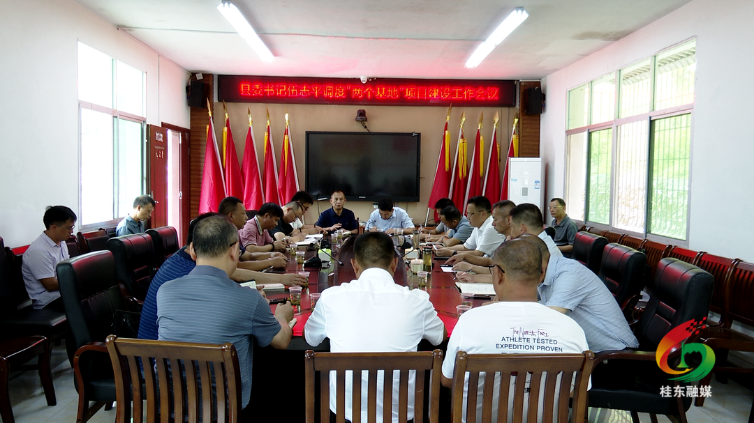 伍志平调度“两个基地”项目建设工作
