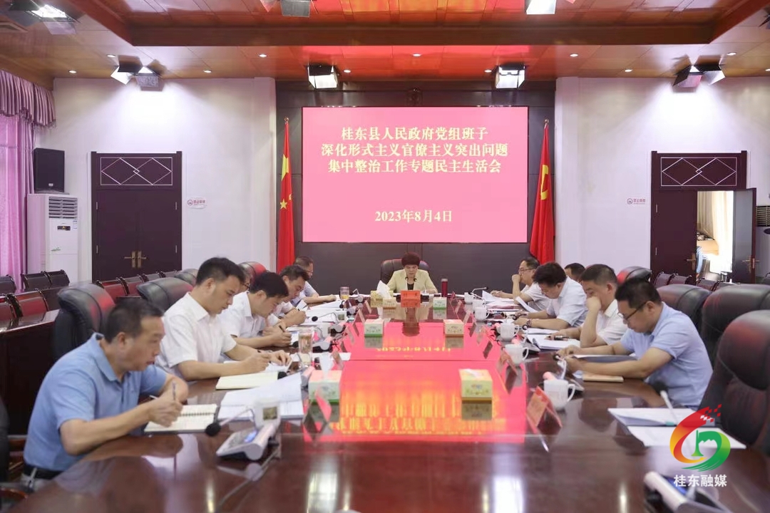 县政府党组班子召开深化形式主义官僚主义 突出问题集中整治工作专题民主生活会