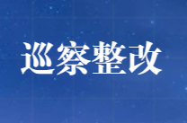 巡察整改