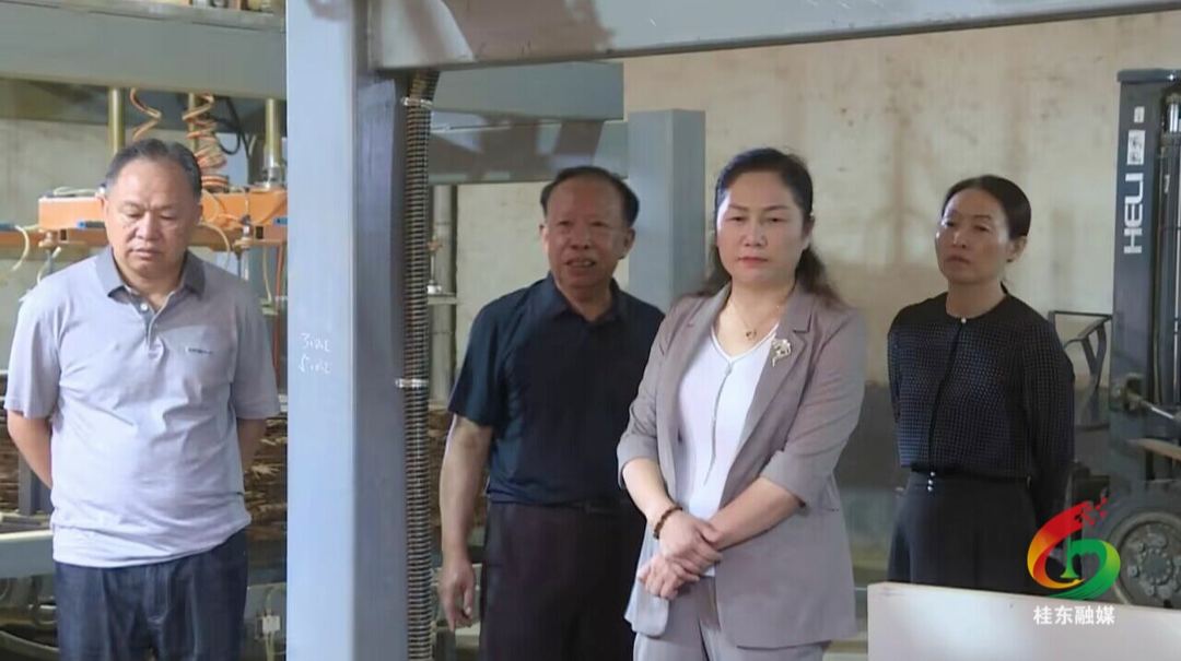 黄峥嵘调研我县统战工作