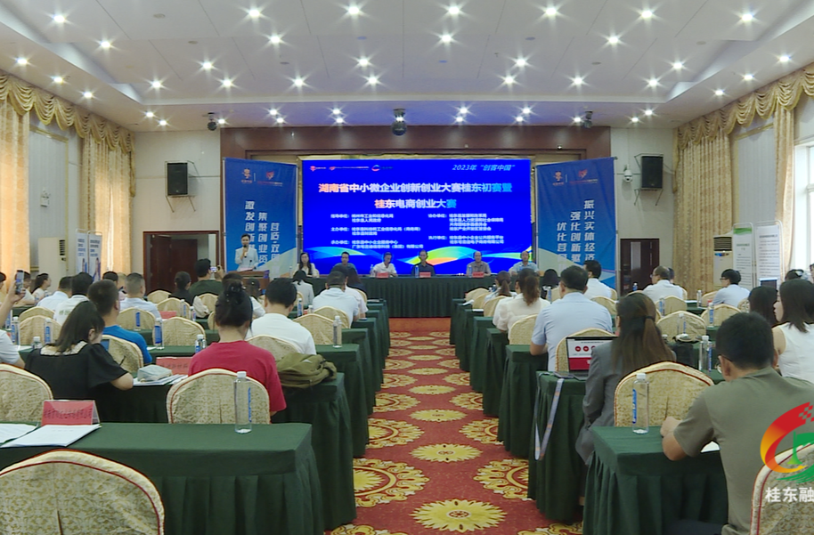 2023年“创客中国”桂东初赛暨桂东电商创业大赛举行