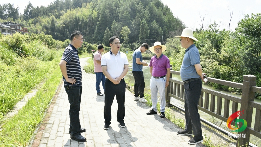 县领导调研重点项目建设工作