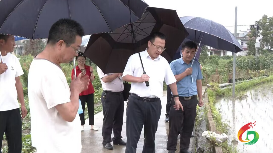 伍志平调研普乐东水产业发展和粮食安全等工作