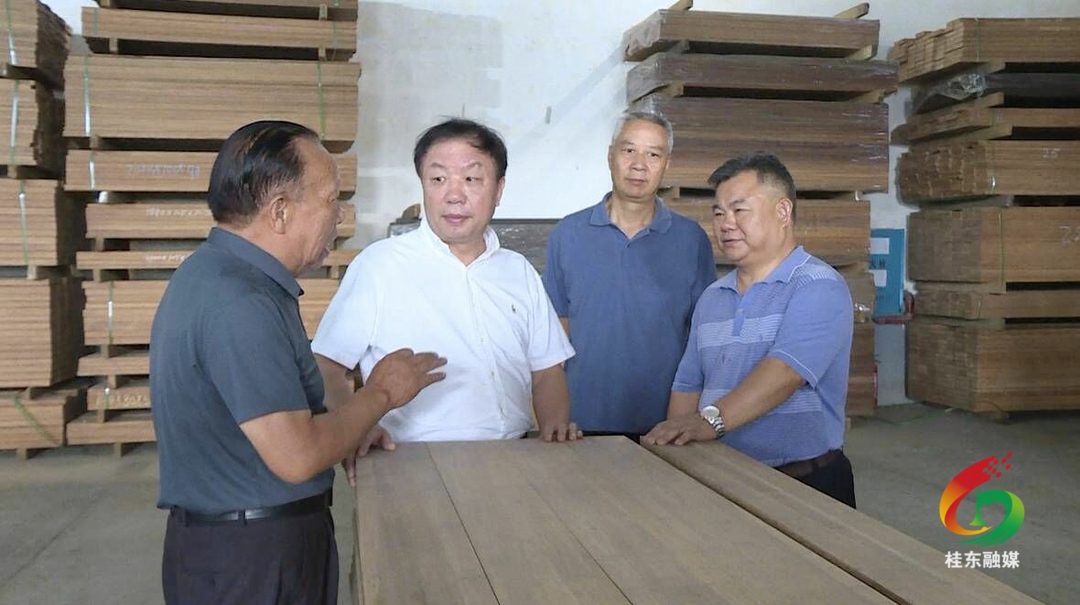 市领导调研我县乡村振兴工作