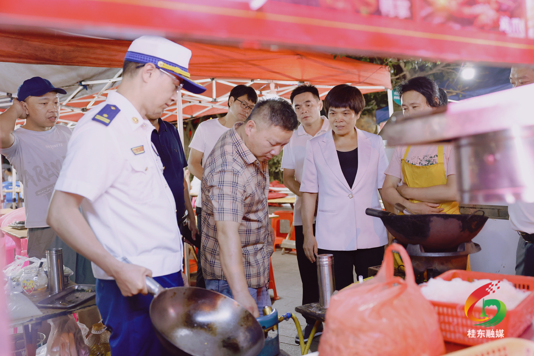 刘真带队检查城市运行安全工作