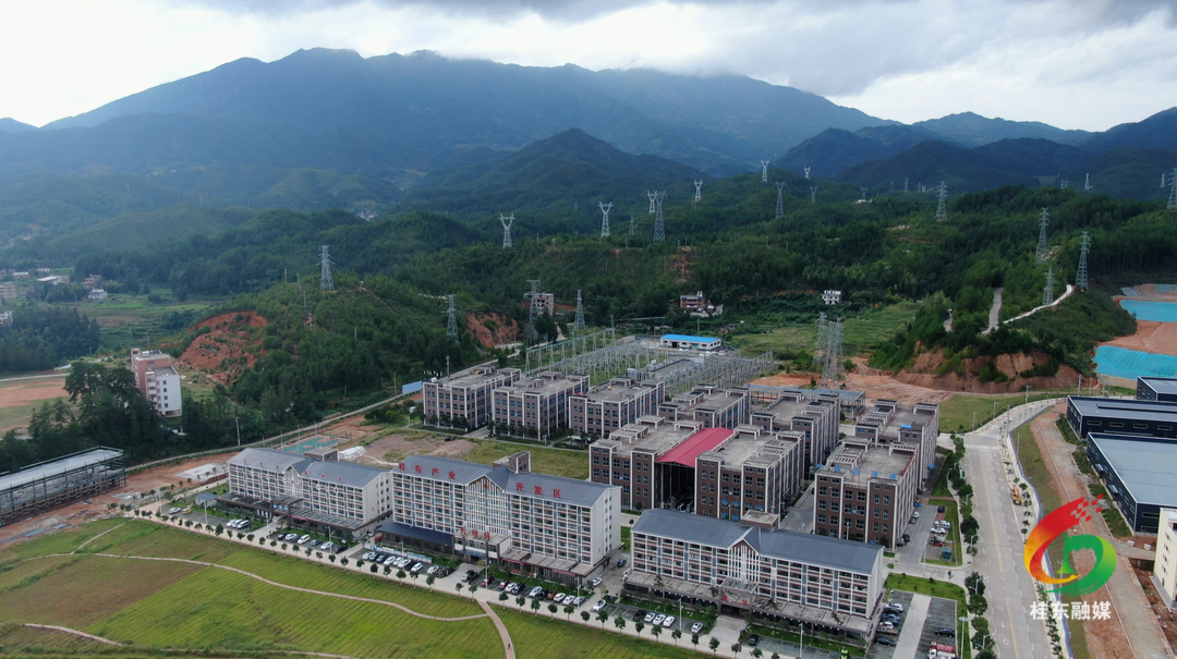 大塘镇：强化产业战略谋划 建设高水平繁荣乡镇