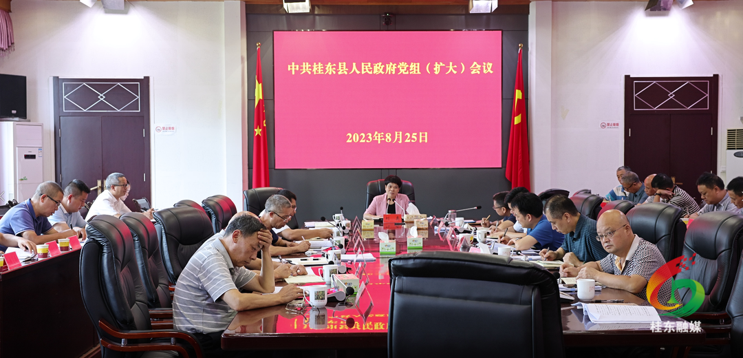 刘真主持召开县政府党组（扩大）会议