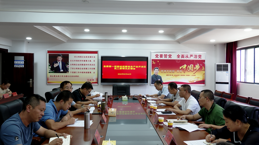 十三届县委第三轮巡察完成情况反馈