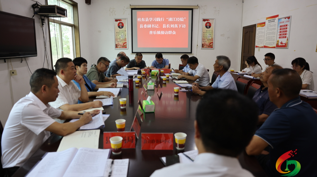 刘真到普乐镇下访接访