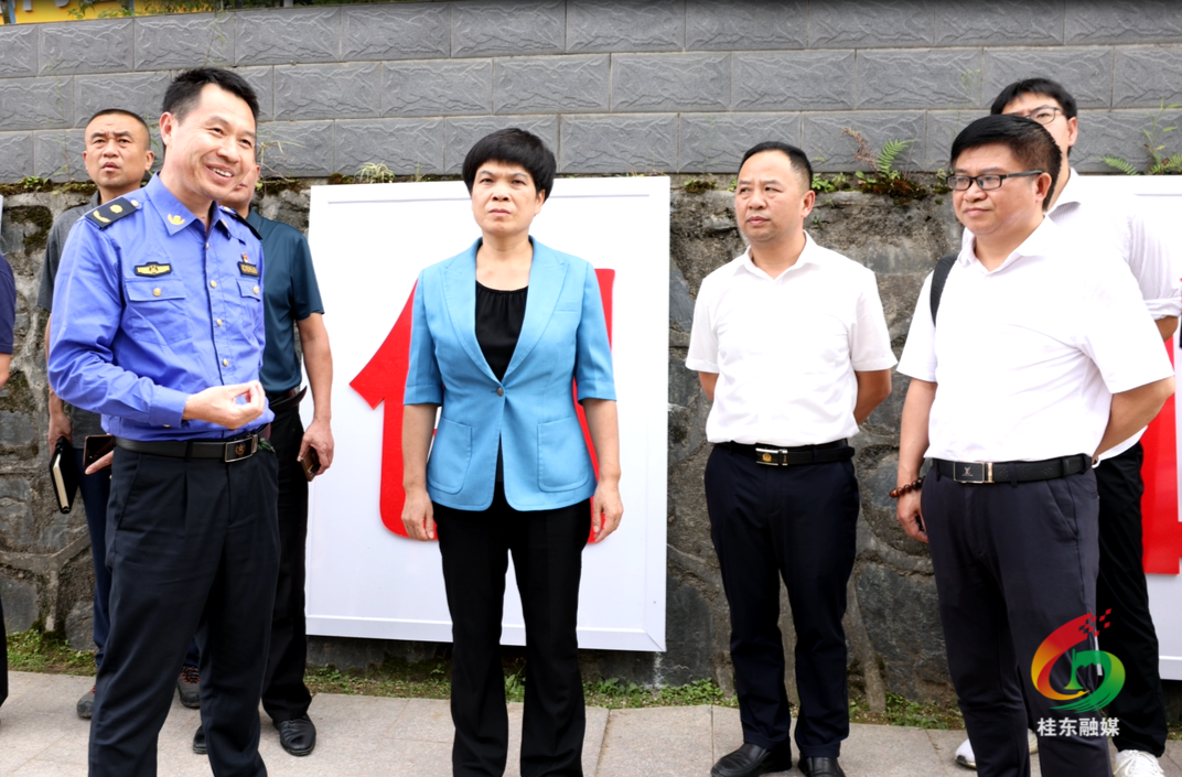 刘真调研城区风貌提质工作